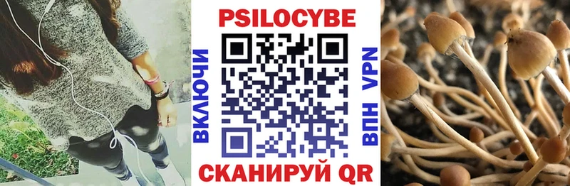 Галлюциногенные грибы прущие грибы Ливны